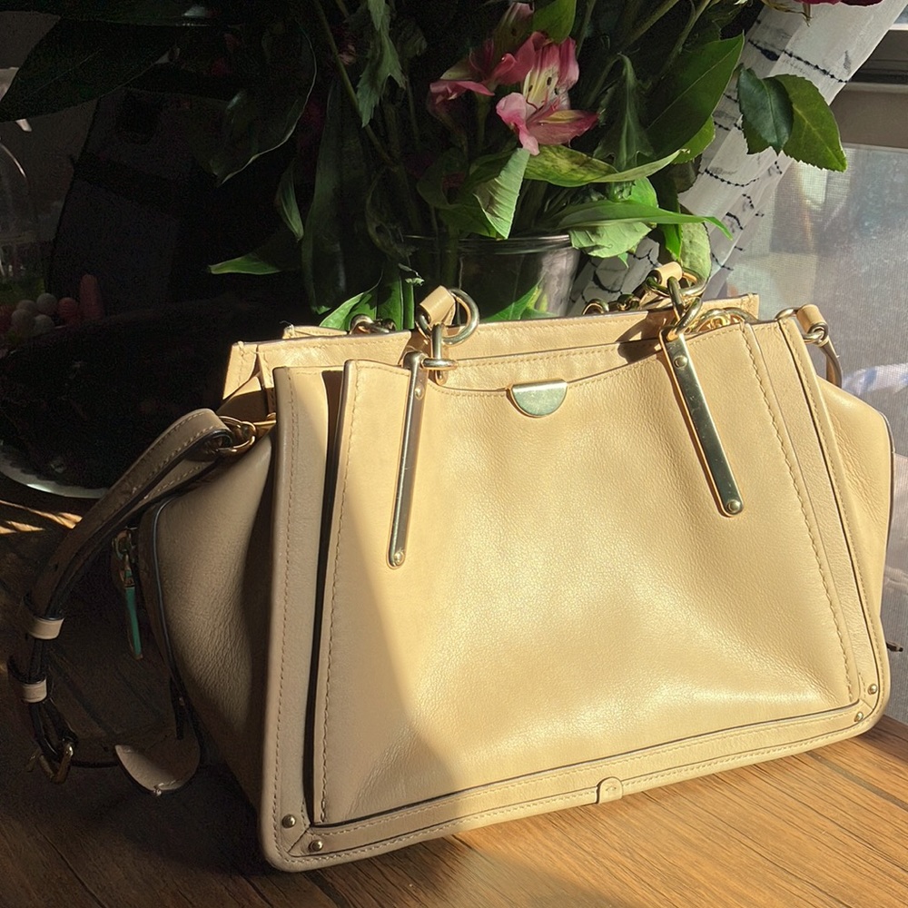 Coach Dreamer - image 3